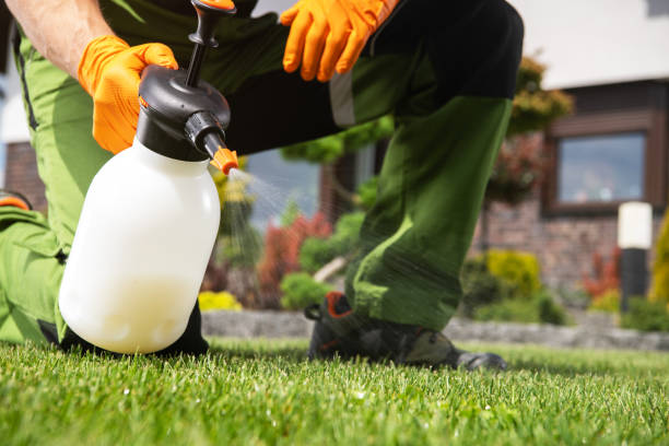 Best Residential Pest Control  in Hull, IA