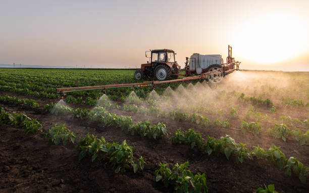Best Mosquito Control Services  in Hull, IA