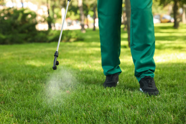 Best Pest Inspection Near Me  in Hull, IA