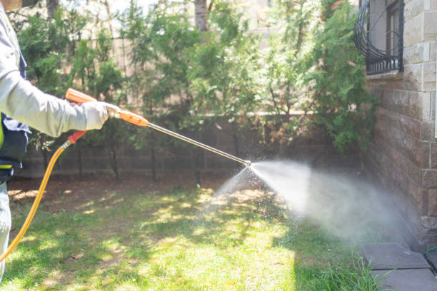 Best Emergency Pest Control  in Hull, IA