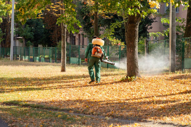 Best Bed Bug Extermination  in Hull, IA