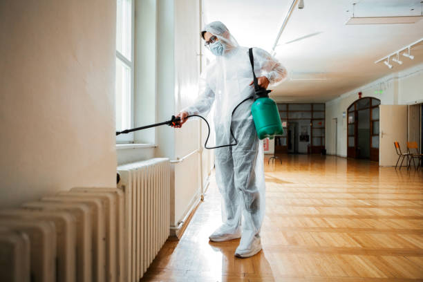 Best Wildlife Control Services  in Hull, IA