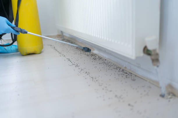Reliable Hull, IA Pest Control Solutions