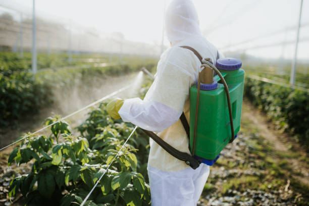 Best Pest Control Near Me in Hull, IA